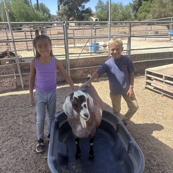 Susie Q Ranch - they let the kids pet the goats afterwards, such a fun experience - Horseback Riding Near Me - Murrieta, California Susie Q Ranch - they let the kids pet the goats afterwards, such a fun experience - Horseback Riding Near Me - Murrieta, California