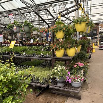 Lowe's Home Improvement - The plants inside are in better shape - Hardware Stores Near Me - Louisville, Kentucky Lowe's Home Improvement - The plants inside are in better shape - Hardware Stores Near Me - Louisville, Kentucky
