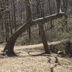 Trails End Cabins