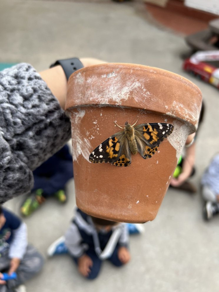Little Hands Together Montessori Preschool - childcare center in Culver City, CA