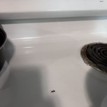 Spring Valley Resort - Ants ran out when we turned the oven out - Hotels Near Me - Piedmont, Missouri Spring Valley Resort - Ants ran out when we turned the oven out - Hotels Near Me - Piedmont, Missouri