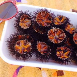Lido Malibù - aperitivo in spiaggia!