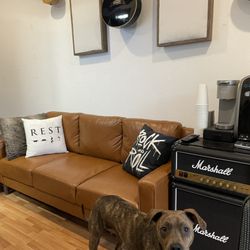 Pitch Michael - Studio lounge plus Avery the studio dog :)