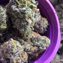 Fox Cannabis - Banana Split #10 nugs, all ready to go home with you!