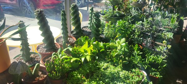 The Living Room by null