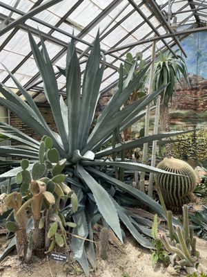 Rockefeller Park & Greenhouse by null