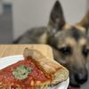 Regents Pizzeria gift card