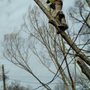 Photo of AM Tree and Landscape