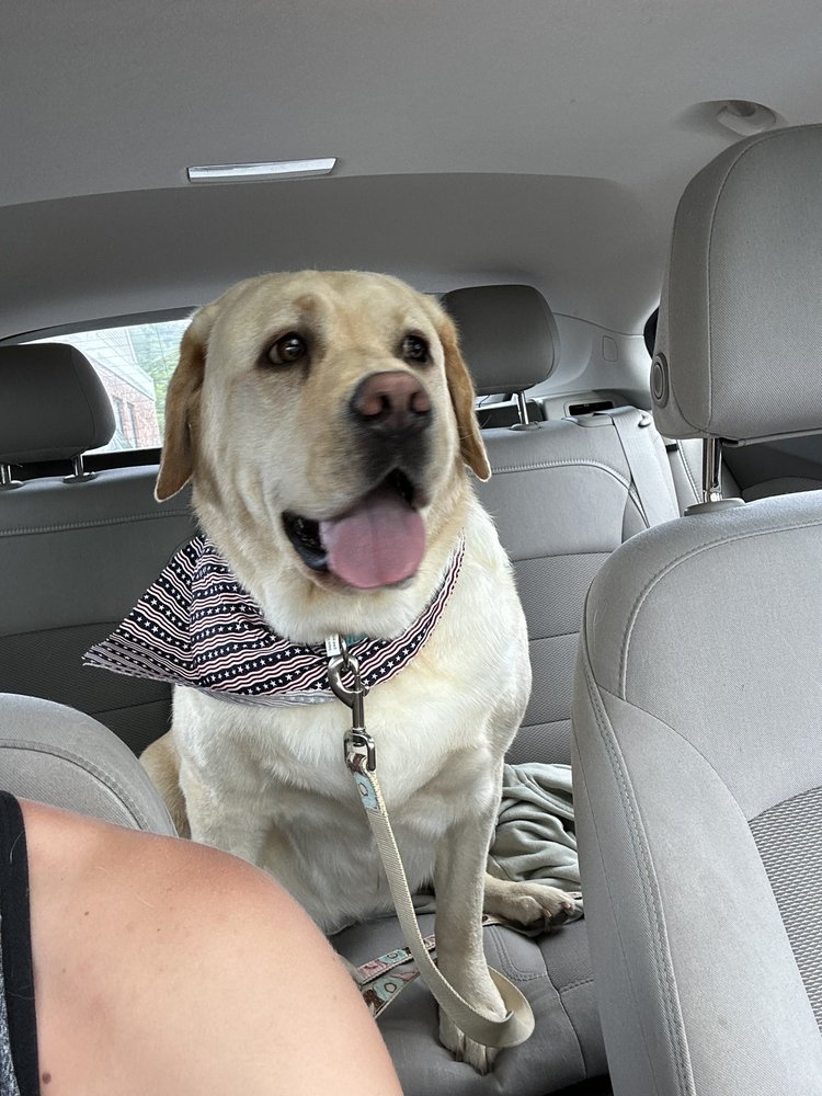 TLC PET GROOMING & DAY SPAW Updated September 2024 24 Photos & 11