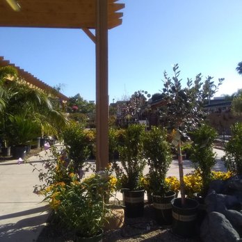 Armstrong Garden Centers - Rows of flowers - Nurseries & Gardening Near Me - Costa Mesa, California Armstrong Garden Centers - Rows of flowers - Nurseries & Gardening Near Me - Costa Mesa, California