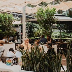 The Green Pointe Restaurant - Aventura - The Green Pointe Restaurant