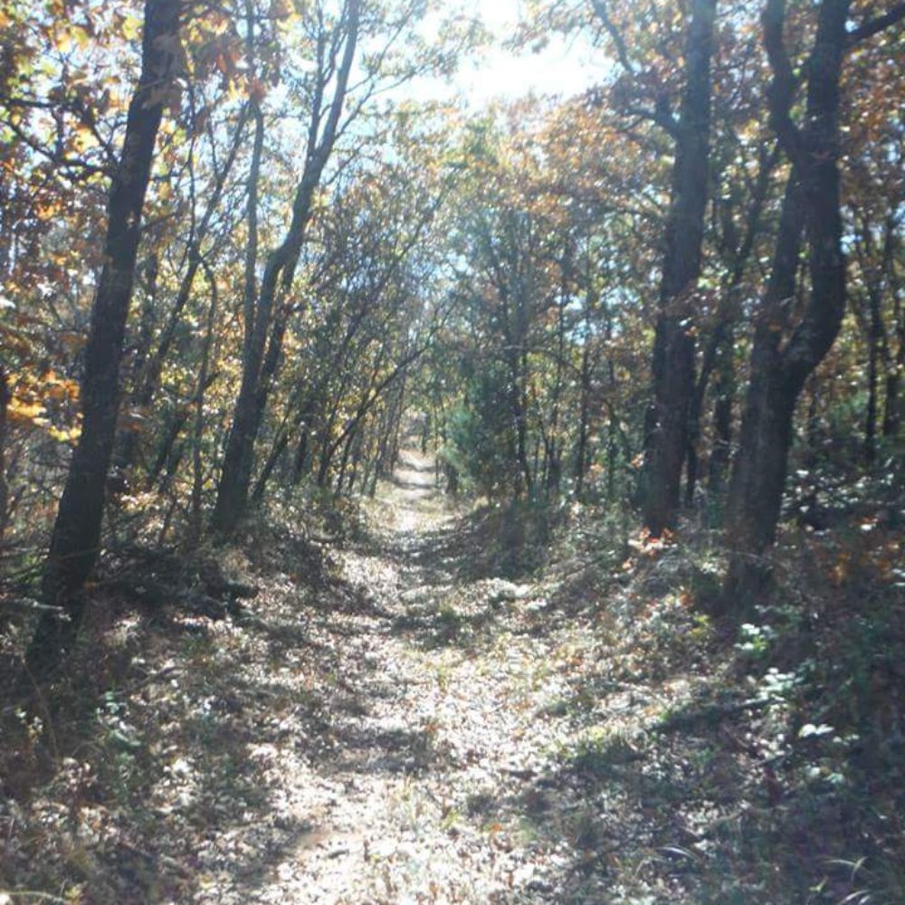 Lake Thunderbird State Park - Middle of the hiking trail - Parks Near Me - Norman, Oklahoma Lake Thunderbird State Park - Middle of the hiking trail - Parks Near Me - Norman, Oklahoma