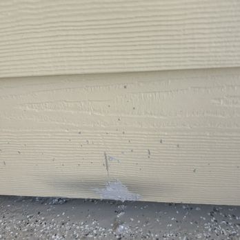 Lifetime Green Coatings - Flooring Near Me Lifetime Green Coatings - Flooring Near Me