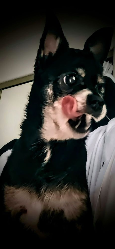 Safe & Sound Transitional Living - home care agency in Phoenix, AZ