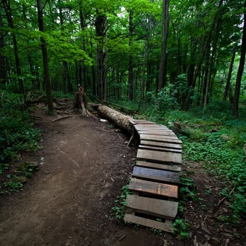 Kelso Conservation Area - MTB Trail - Fishing Near Me - Milton, Ontario