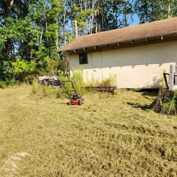 Mikes Tree Worx - Tree Services Near Me Mikes Tree Worx - Tree Services Near Me