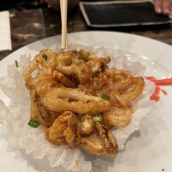 Woodam - Calamari - Korean Near Me - Morris Plains, New Jersey Woodam - Calamari - Korean Near Me - Morris Plains, New Jersey