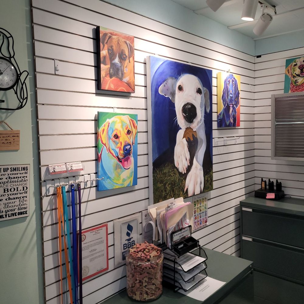 Happy Tails - Pet Sitting Near Me - Saint Ann, Missouri Happy Tails - Pet Sitting Near Me - Saint Ann, Missouri