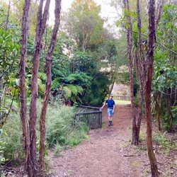 Kuirau Park - Many tree varieties