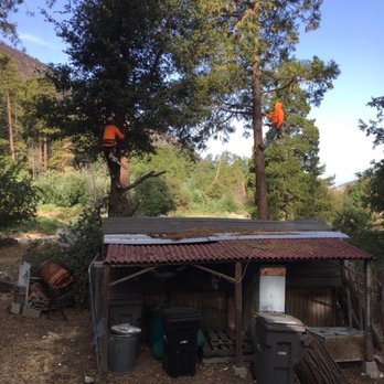 Romberg Tree Service - Firewood Near Me