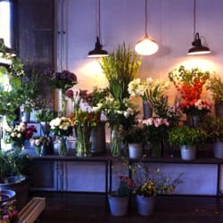 Louise Moestrup Blomster