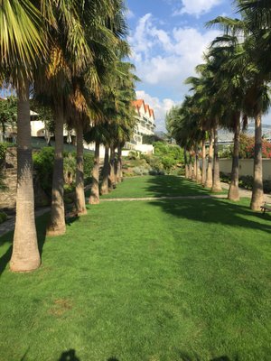 The Vintage House Hotel, Douro by null