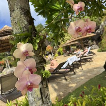 Hanalei Bay Resort - Resorts Near Me - Princeville, Hawaii Hanalei Bay Resort - Resorts Near Me - Princeville, Hawaii