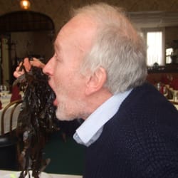 Les Mini Lofts de Paul et Virginie - Restaurant - Dick tackles the seaweed