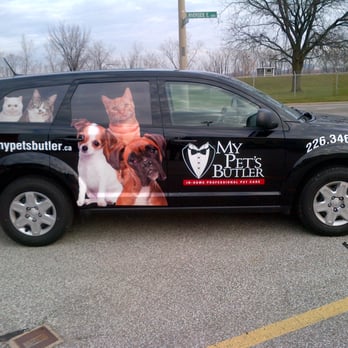 My Pet's Butler - Safety and Comfort is one of our highest priorities - Dog Walkers Near Me My Pet's Butler - Safety and Comfort is one of our highest priorities - Dog Walkers Near Me