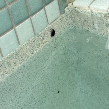 Malibu Pools - Pool Cleaners Near Me - Miami, Florida Malibu Pools - Pool Cleaners Near Me - Miami, Florida