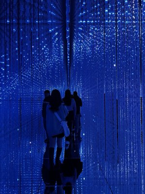 teamLab Borderless: MORI Building DIGITAL ART MUSEUM by null