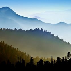 Green Tea Buffet - Peaceful day