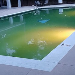 DLP Gulf Shores - This is a more realistic photo of the pool... compare to the highly edited photo on their website...
