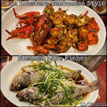 Golden Unicorn - More seafood for the evening. - Dim Sum Near Me - New York, New York
