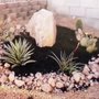 Photo of Oliva Desert Landscaping