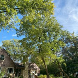 Dunbar Tree Service