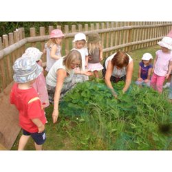 The Montessori Nursery School