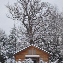 Oak Shade Christmas Tree Farm - The Oak Shade shop and the old oak after a snowfall