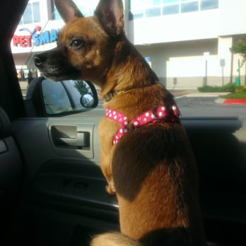 PetSmart - Pet Stores Near Me - Nashville, Tennessee PetSmart - Pet Stores Near Me - Nashville, Tennessee