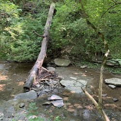 Rentschler Forest Preserve Ranger Sta