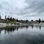 Photo of Bellevue Marina