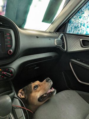 CHARLIE’S CAR WASH - Updated July 2025 - 1251 SW Ashworth Pl, Topeka