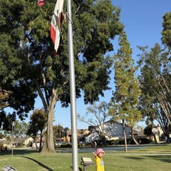 Flag pole