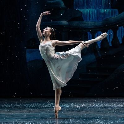 Grand Rapids Ballet by null