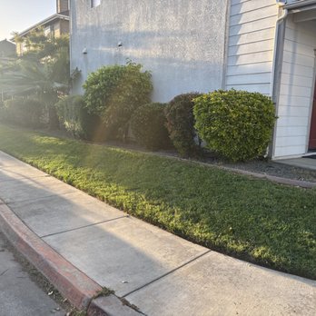 Sutter Valley Lawn Service - Lawn Services Near Me - Yuba City, California Sutter Valley Lawn Service - Lawn Services Near Me - Yuba City, California