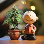 Photo of JARS Cannabis