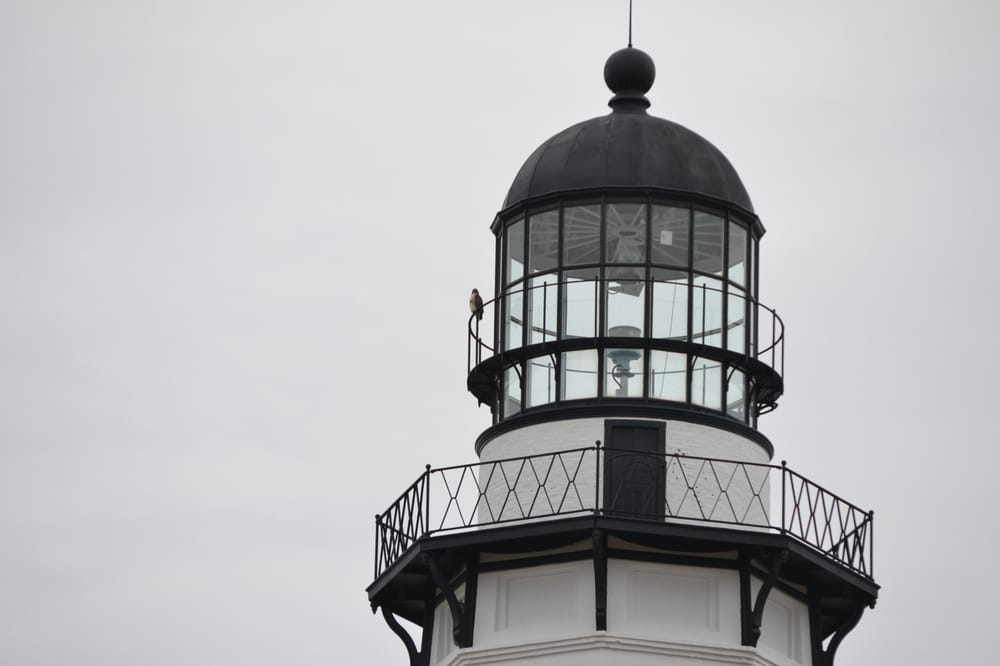 Reading Specialist - reading tutor in Saratoga, NY