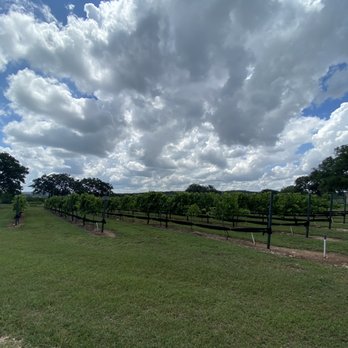 Stone House Vineyard - Wineries Near Me - Spicewood, Texas
