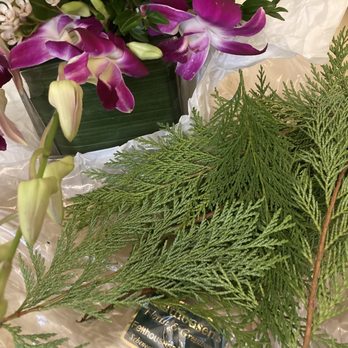 Emil J. Nagengast Florist - Evergreen should not be used in a tropical arrangement - Florists Near Me - Albany, New York Emil J. Nagengast Florist - Evergreen should not be used in a tropical arrangement - Florists Near Me - Albany, New York