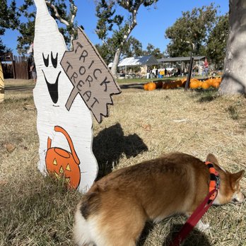 Joan's Farm & Pumpkin Patch - Pumpkin Patches Near Me - Livermore, California Joan's Farm & Pumpkin Patch - Pumpkin Patches Near Me - Livermore, California